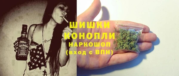 прущие грибы Бугульма