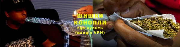 прущие грибы Бугульма