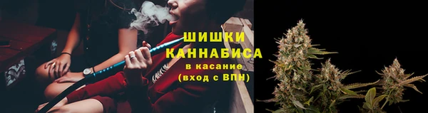 прущая мука Бородино