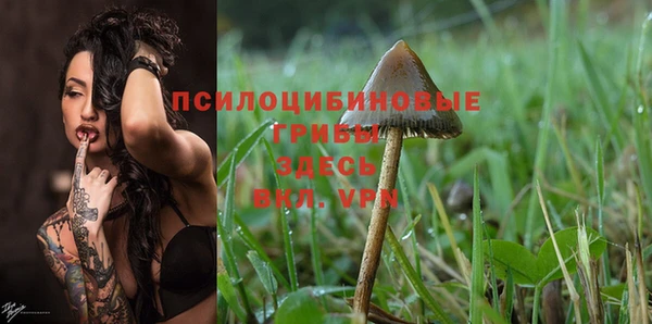 ешки Бронницы