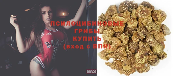 a pvp Снежногорск