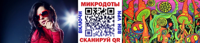Псилоцибиновые грибы Cubensis  MEGA ONION  Выборг 